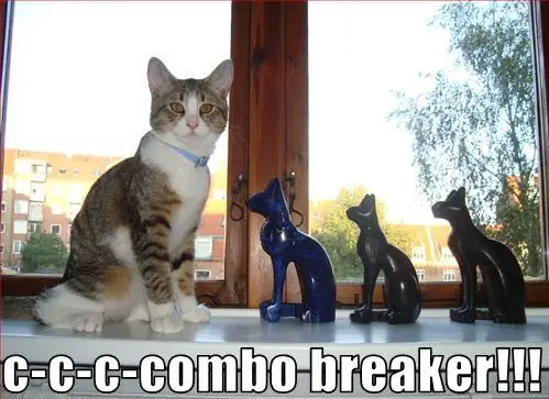 combobreakercat.JPG