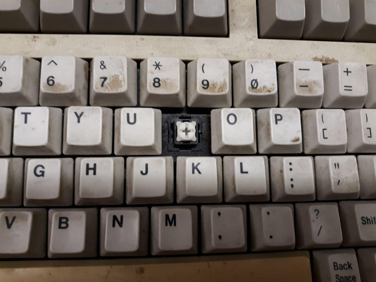 switch1.jpg