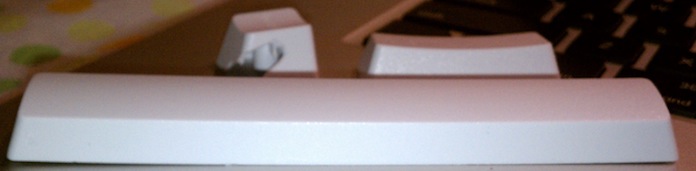 IMAG0805.jpg