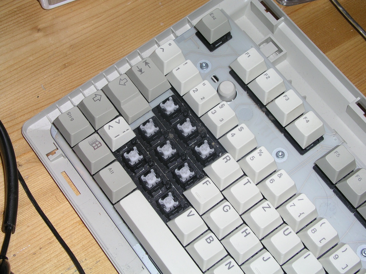 P1010035.jpg