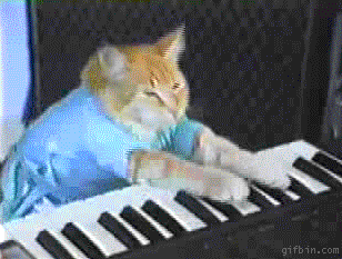 keyboardcat.gif