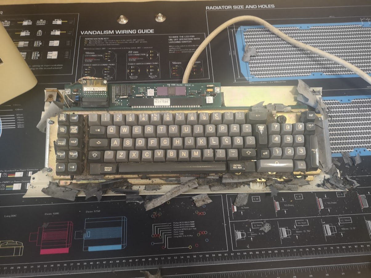 How the keyboard forst looked when top case removed.jpg