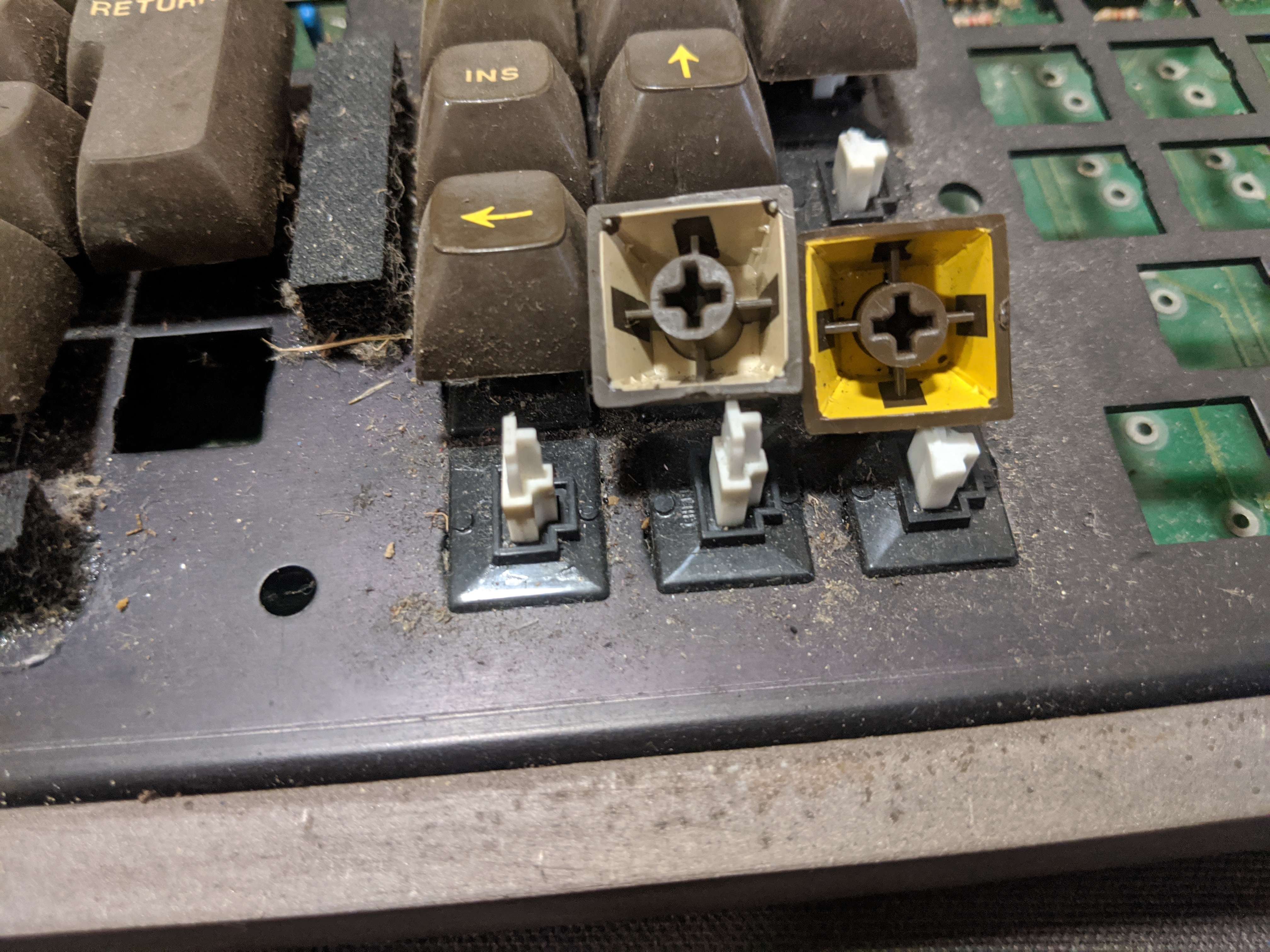 Omni Caps.jpg