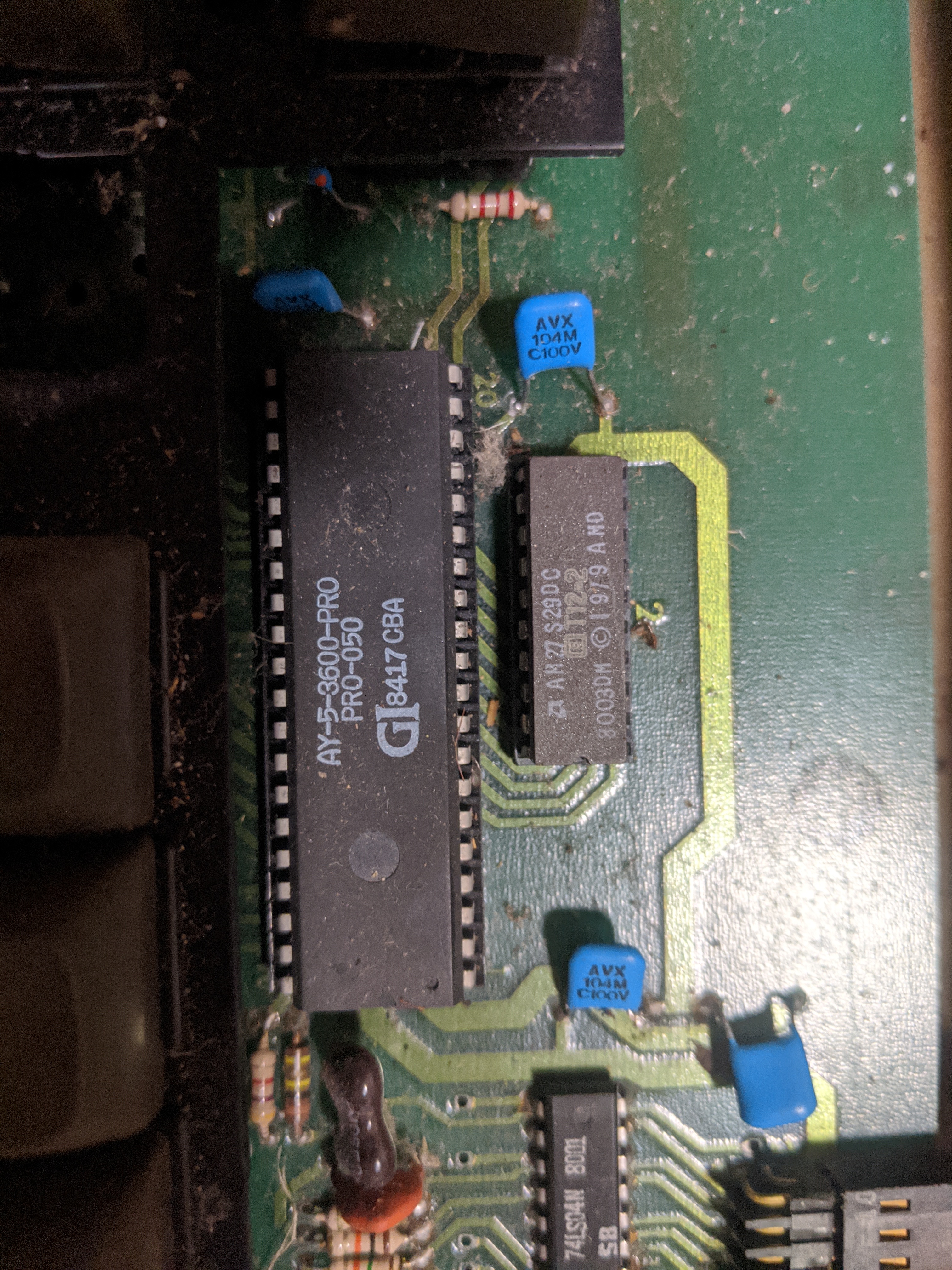 Omni Chip 2.jpg