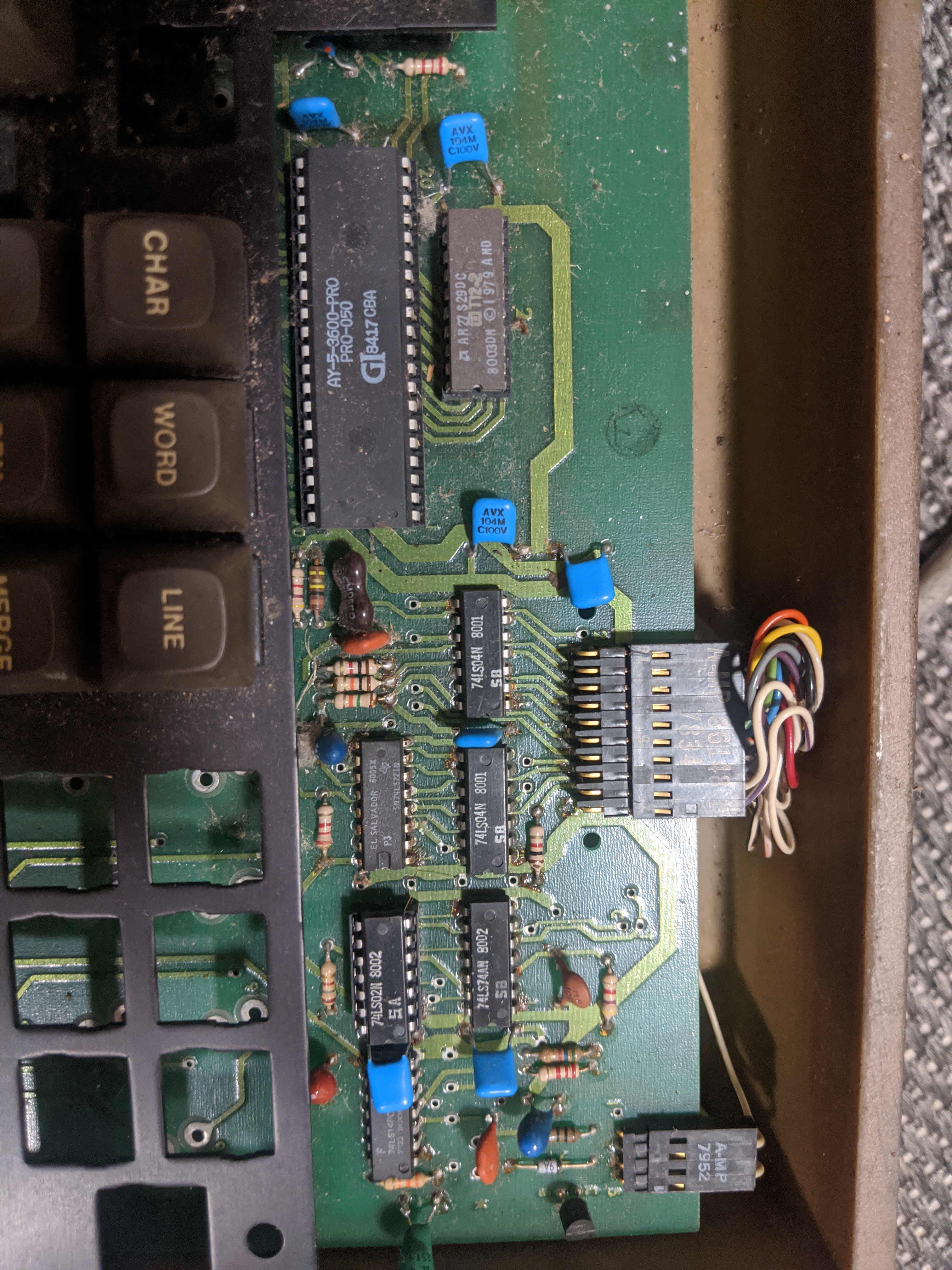 Omni Chip 1.jpg