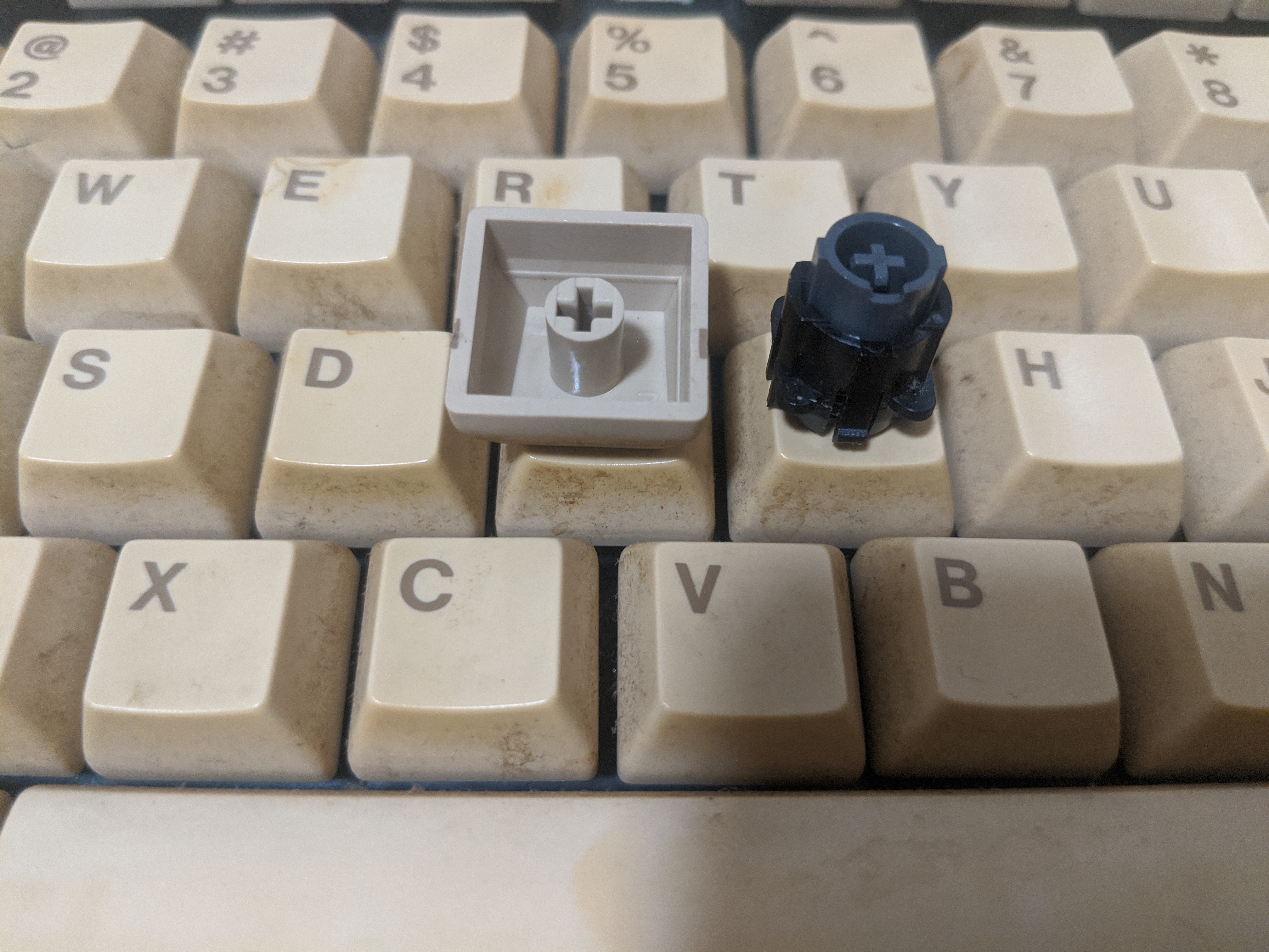 EPPC Caps.jpg