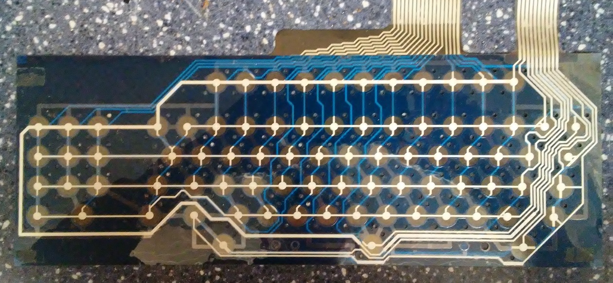 12membrane_back1_sm.jpg