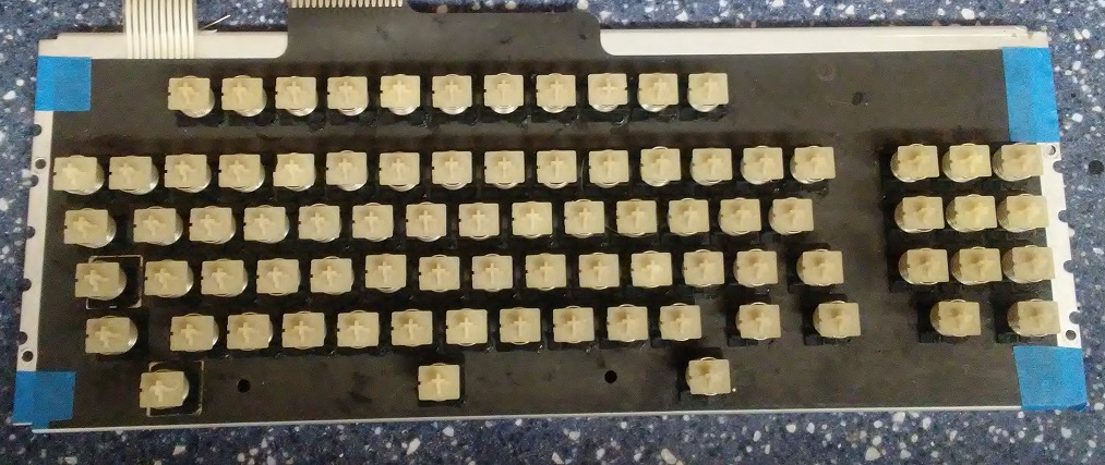 21`switches_glued_sm.jpg