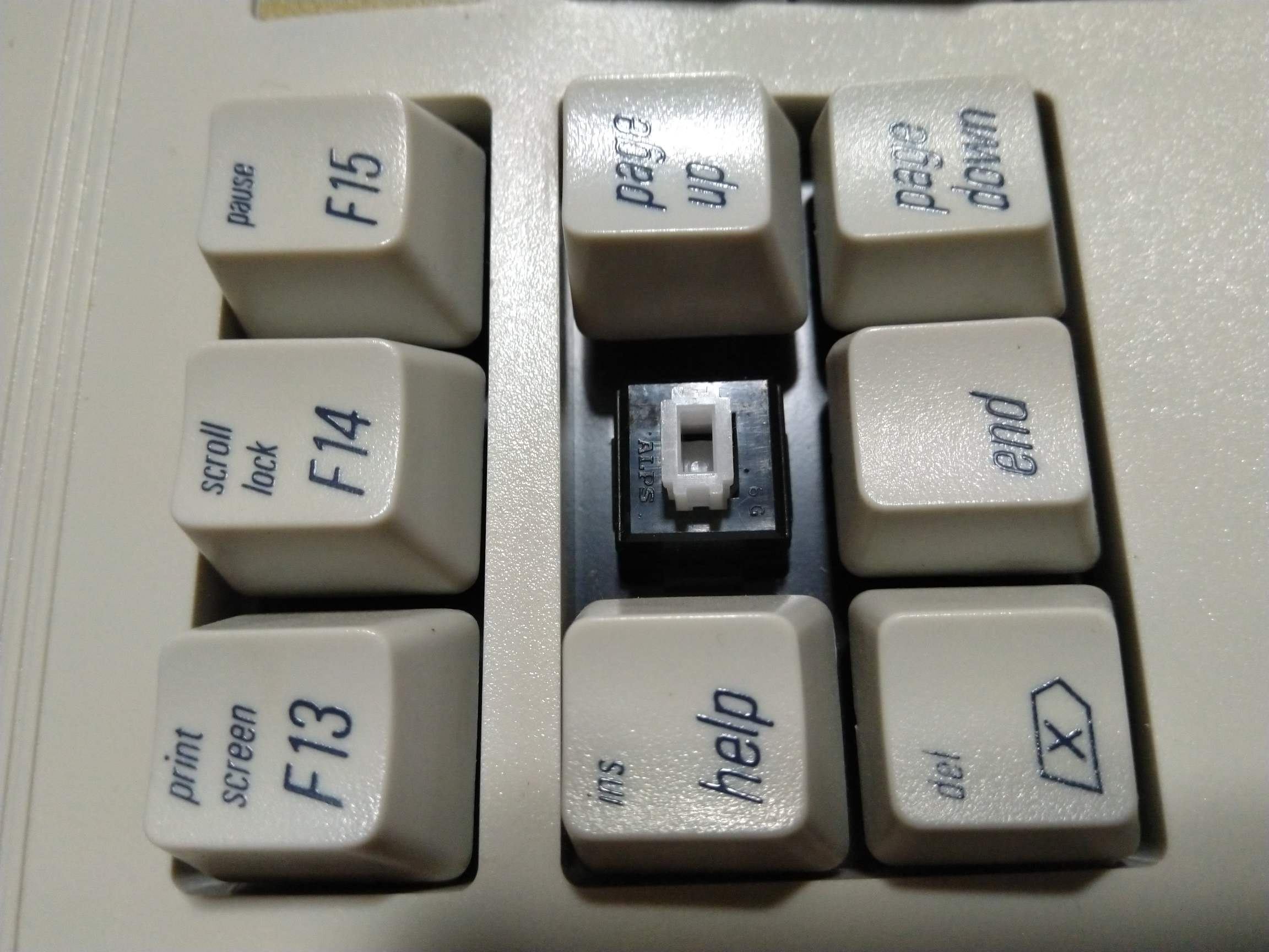 92941077_611021579450335_6278805775125053440_n.jpg