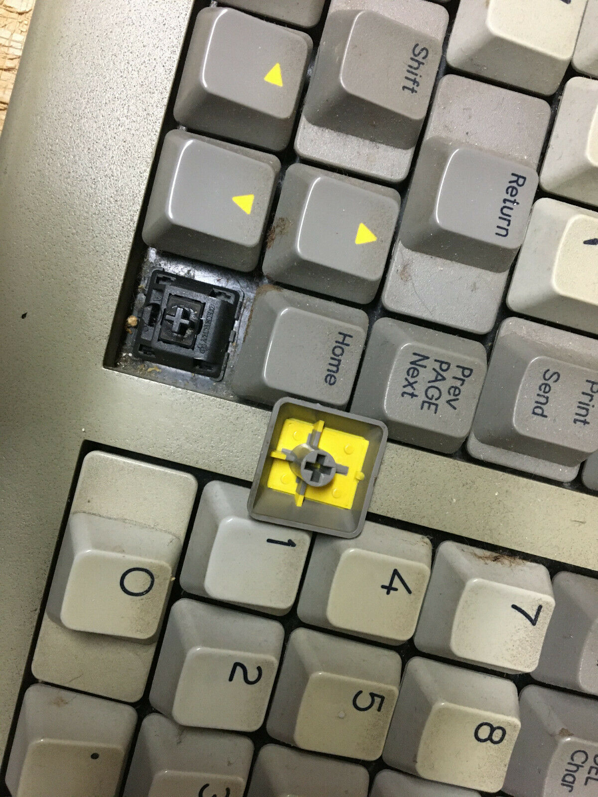 wyse yellow.jpg
