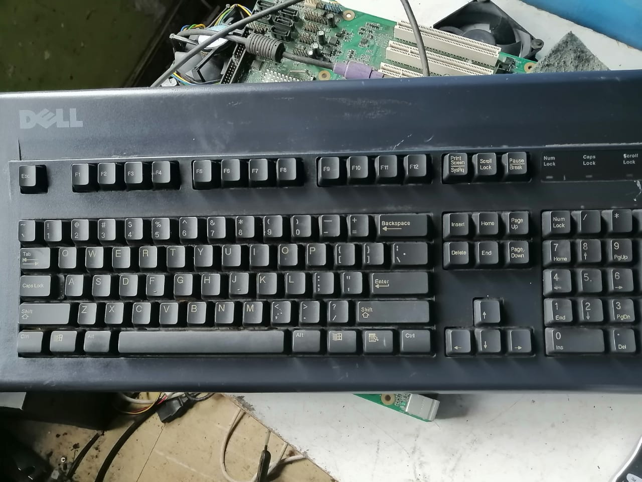1.jpeg