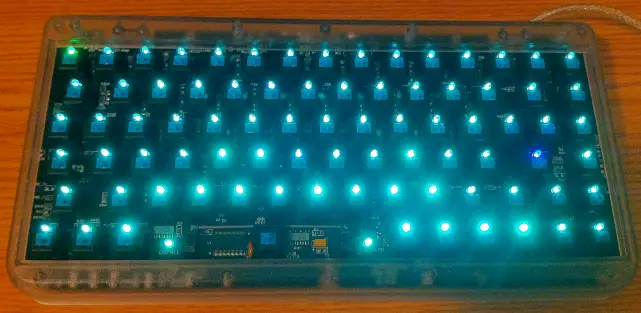 ocean-leds.png