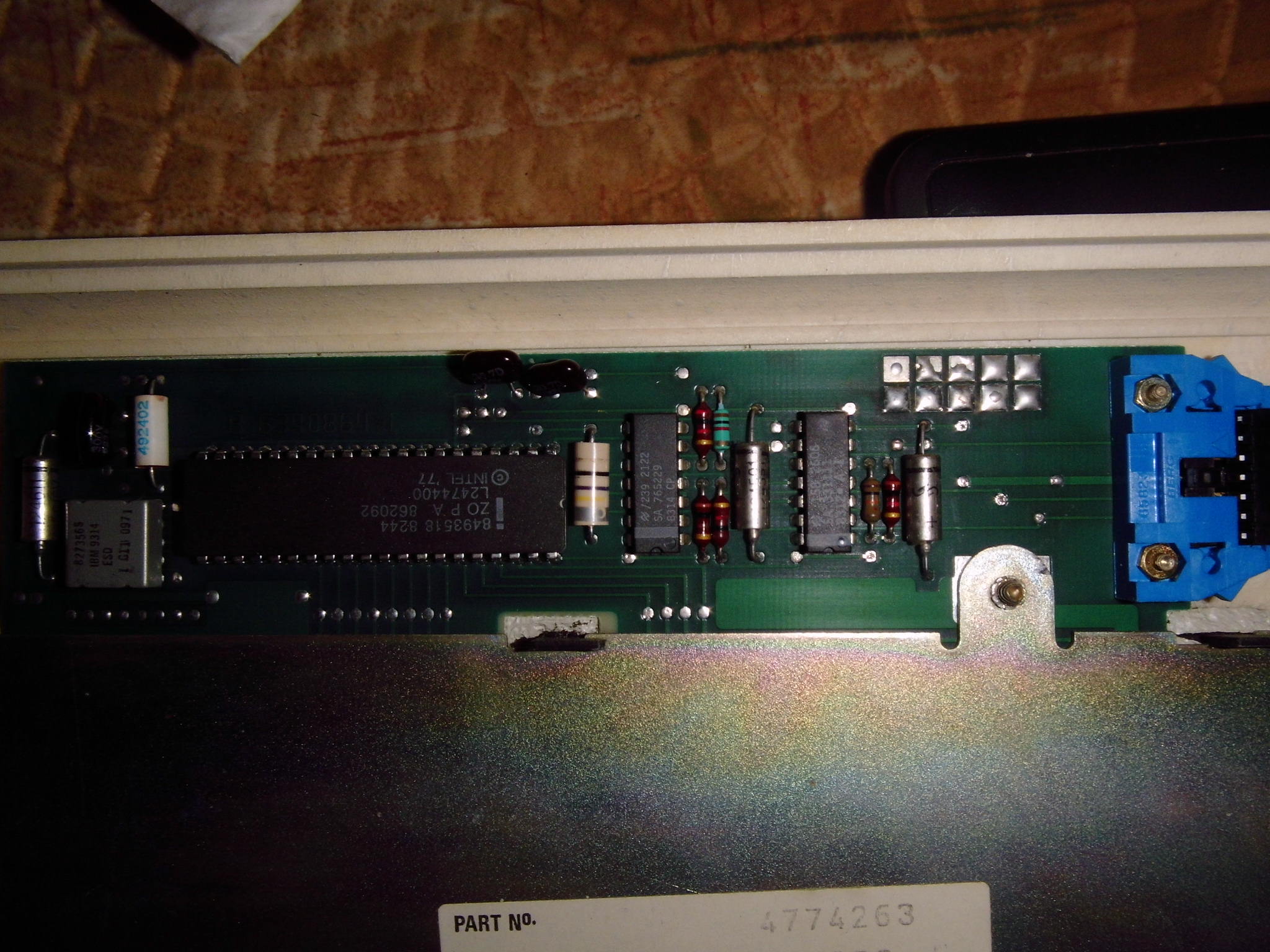 DSCI0065.JPG