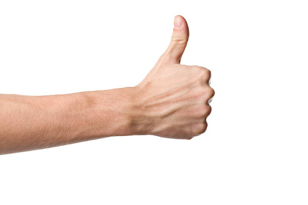istockphoto-162835092-612x612.jpg