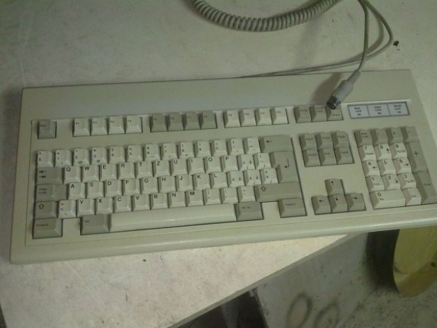 pic1.jpg