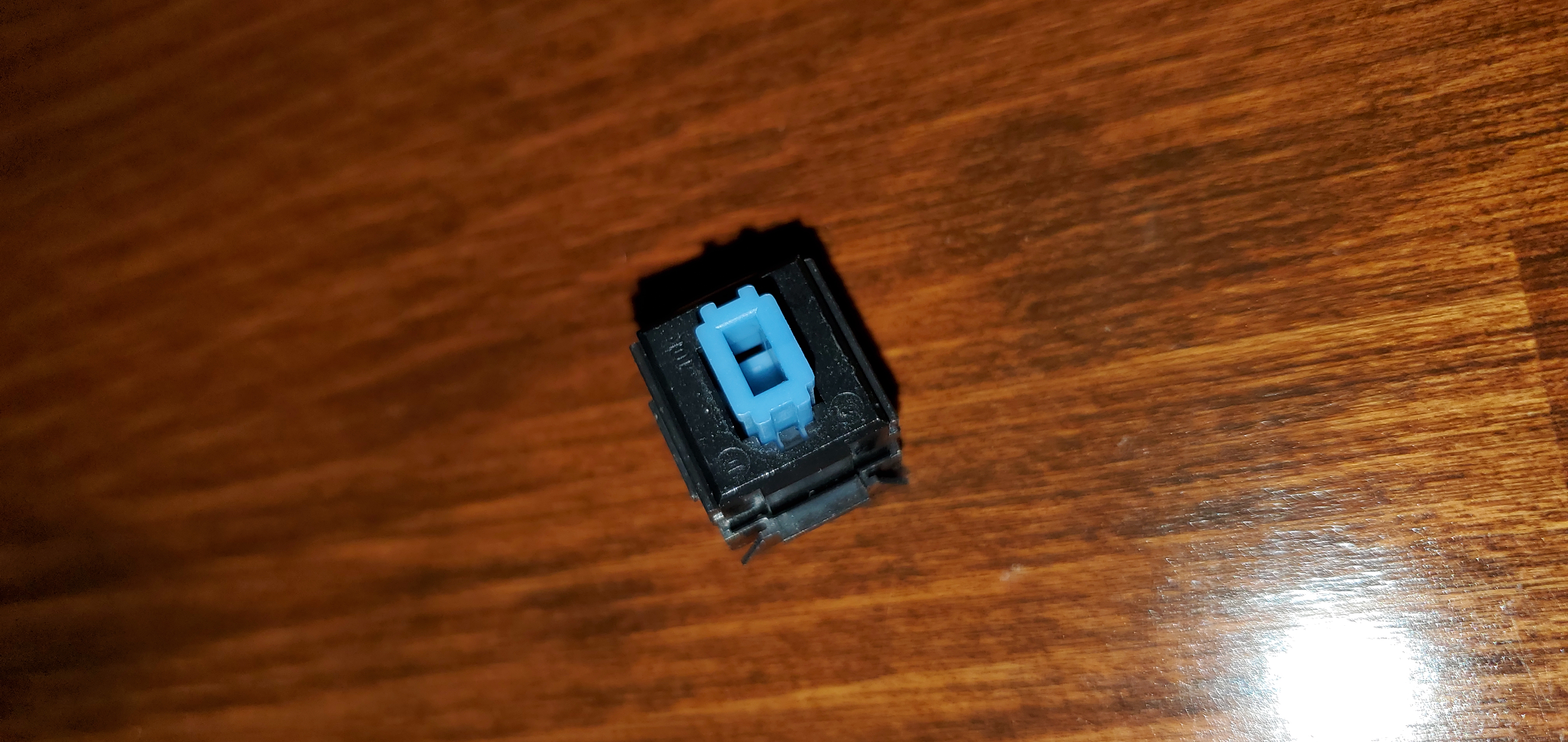 20220210_160157.jpg
