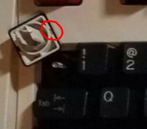 Capture.JPG