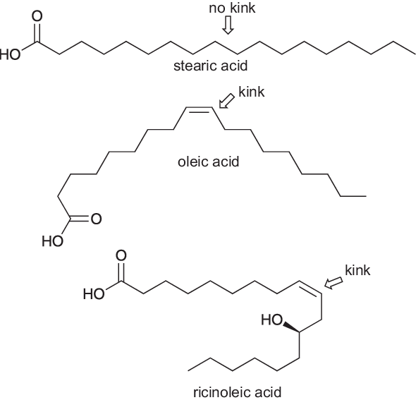 Chemical-structures-of-stearic-acid-oleic-acid-and-ricinoleic-acid-The-kink-in-the.png