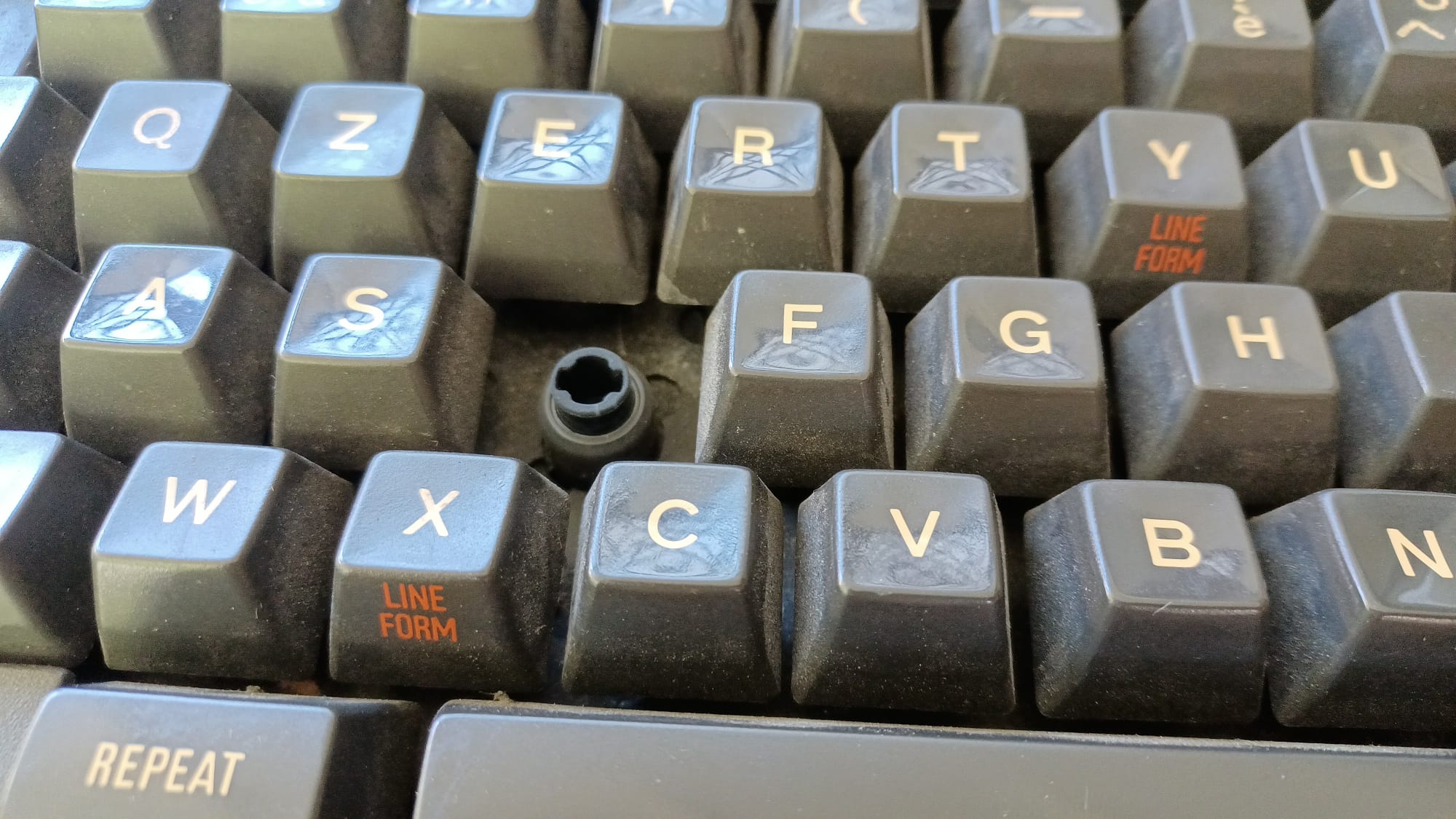 2.jpeg