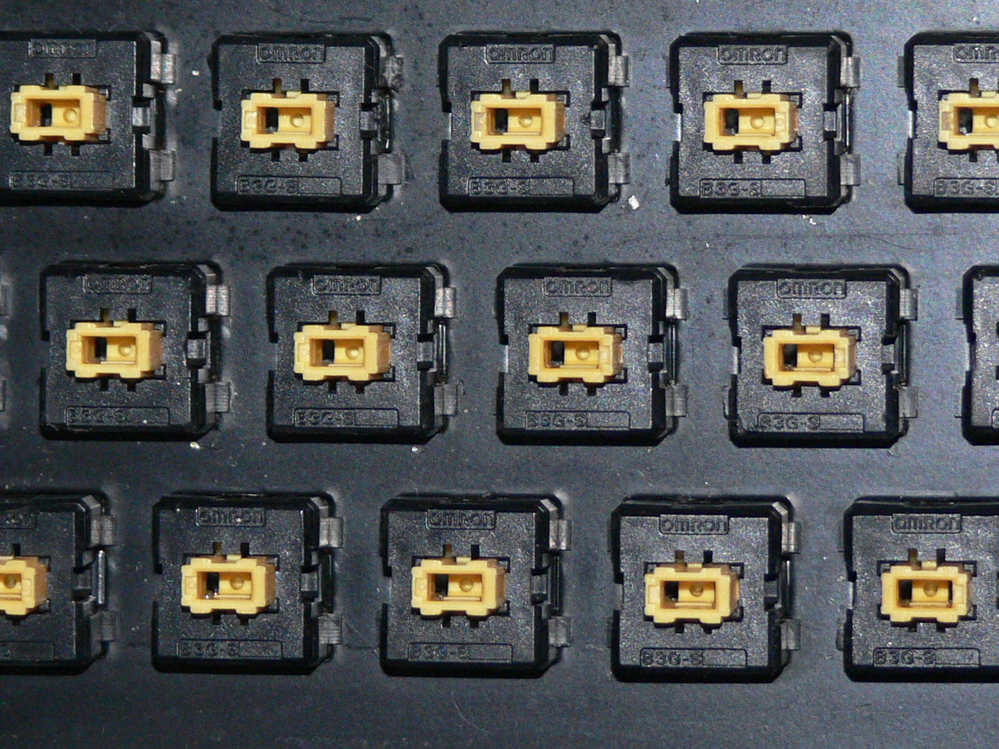 Switch shell closeup