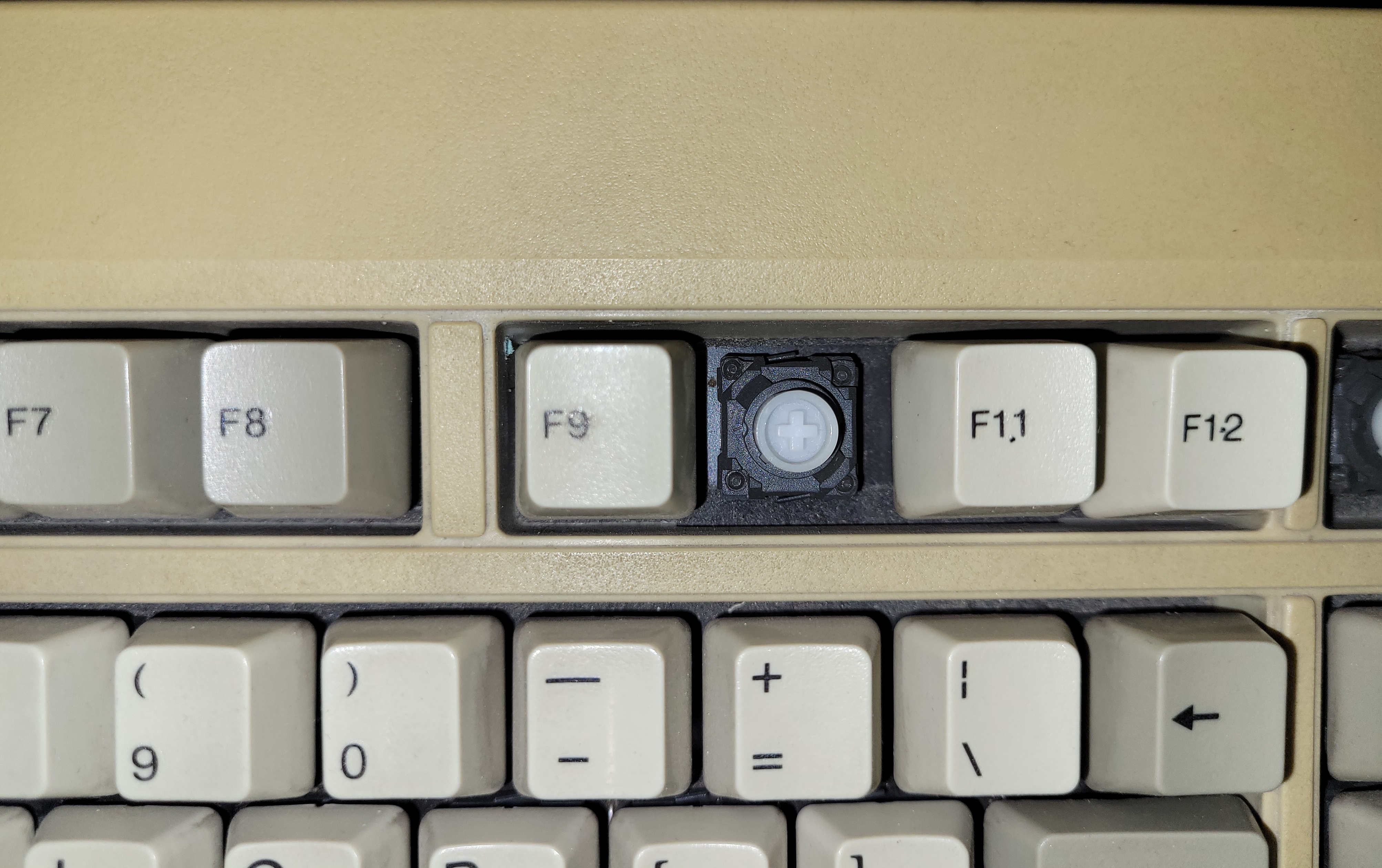 20260312_212246.jpg