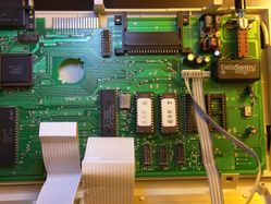 cp600
